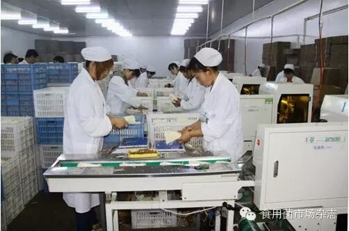 超高壓滅菌設備應用